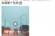 东莞市新闻爆料,聚焦热点事件，解码城市脉搏