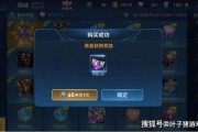 王者皮肤爆料最新品质查询,最新品质一览，品质皮肤盘点来袭！