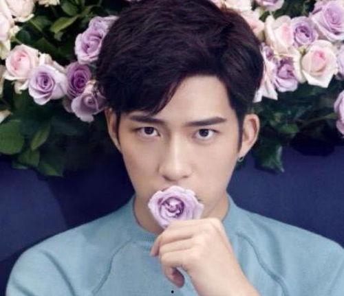 娱乐圈明星吃瓜最牛公众号